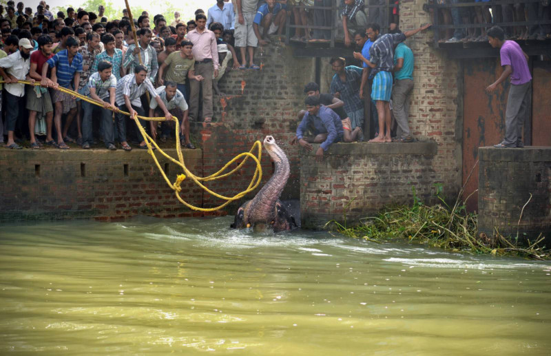 Winners Of HIPA International Photography Award