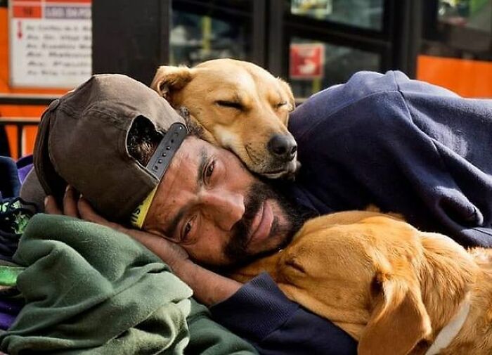 The Lives Of Homeless People And Their Dogs: 30 Touching Photographs From MRSC IG Page