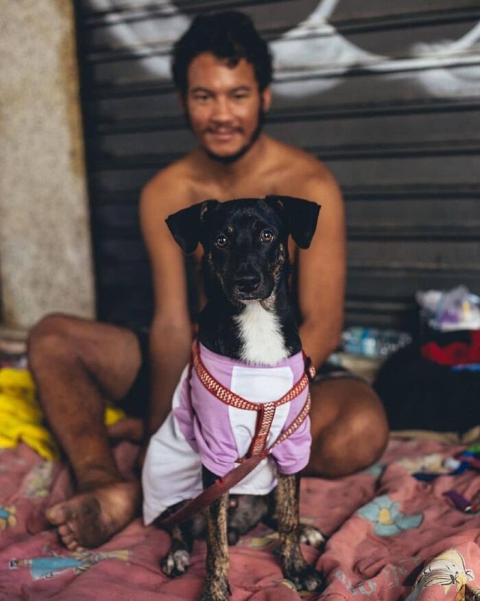 The Lives Of Homeless People And Their Dogs: 30 Touching Photographs From MRSC IG Page