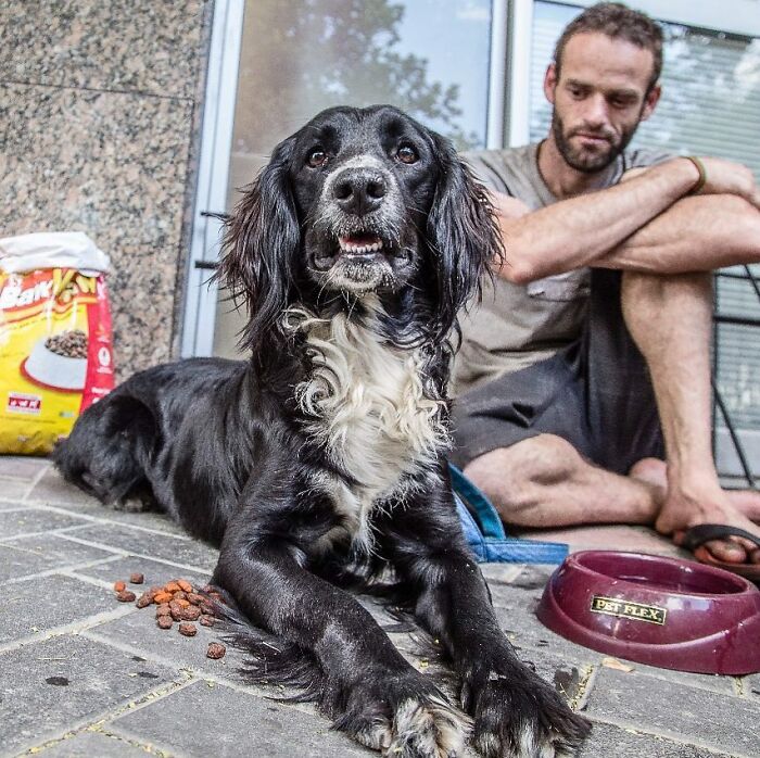 The Lives Of Homeless People And Their Dogs: 30 Touching Photographs From MRSC IG Page