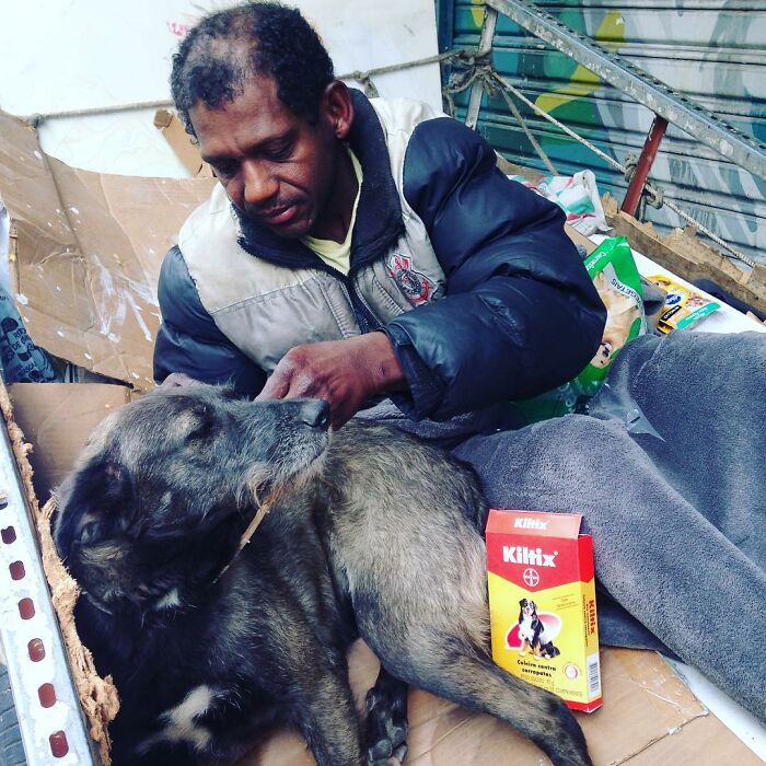 The Lives Of Homeless People And Their Dogs: 30 Touching Photographs From MRSC IG Page