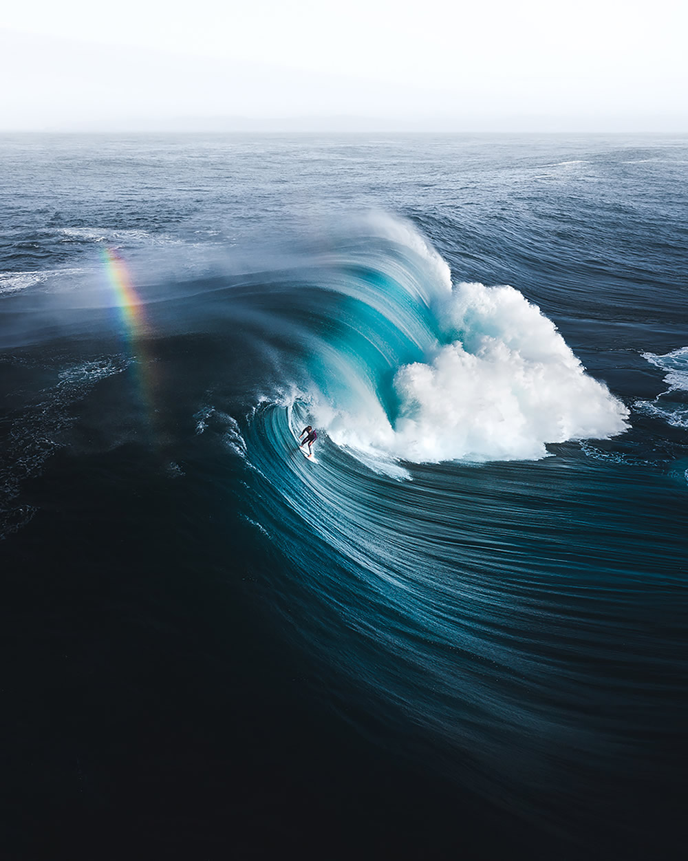 The Ocean Photography Awards 2021 Finalists