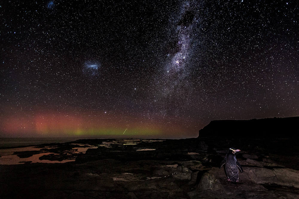 The Ocean Photography Awards 2021 Finalists