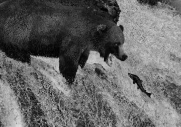 https://121clicks.com/inspirations/one-eyeland-world-top-black-white-photographers-2021