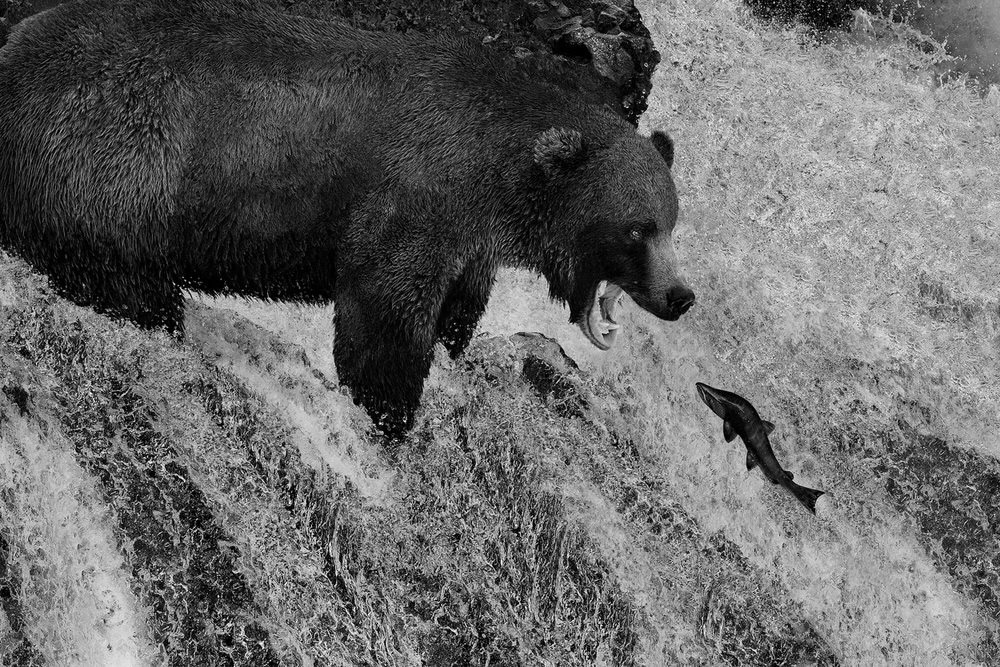 https://121clicks.com/inspirations/one-eyeland-world-top-black-white-photographers-2021