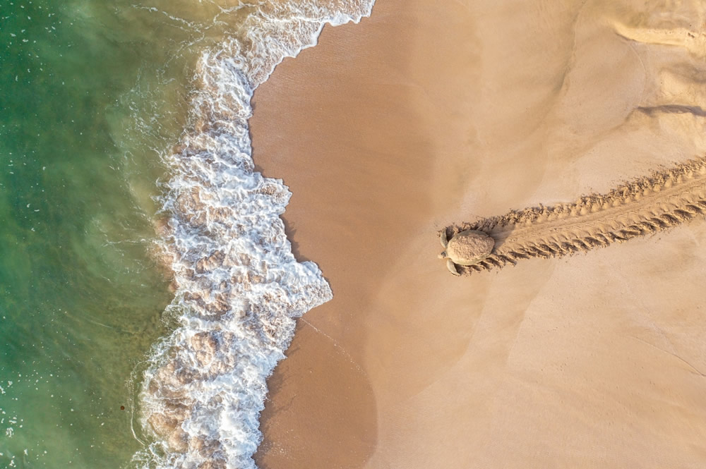 41 Stunning Winning Photos Of Siena Drone Photo Awards