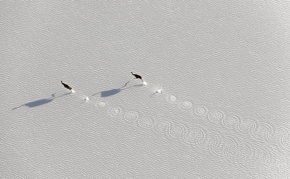 41 Stunning Winning Photos Of Siena Drone Photo Awards