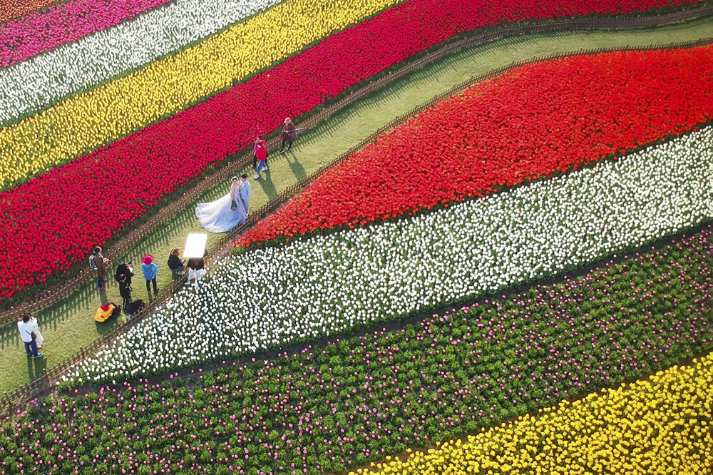 41 Stunning Winning Photos Of Siena Drone Photo Awards