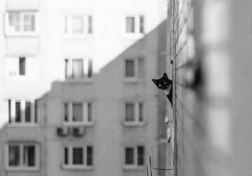 Amazing Winning Photos Of TDM Street Photography Awards 2021