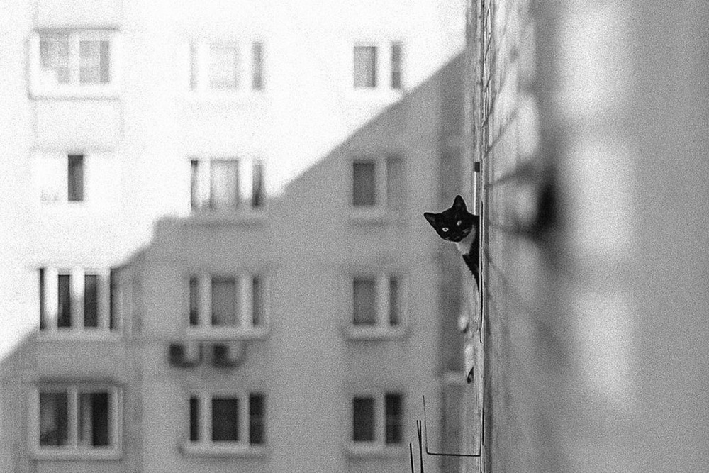 Amazing Winning Photos Of TDM Street Photography Awards 2021