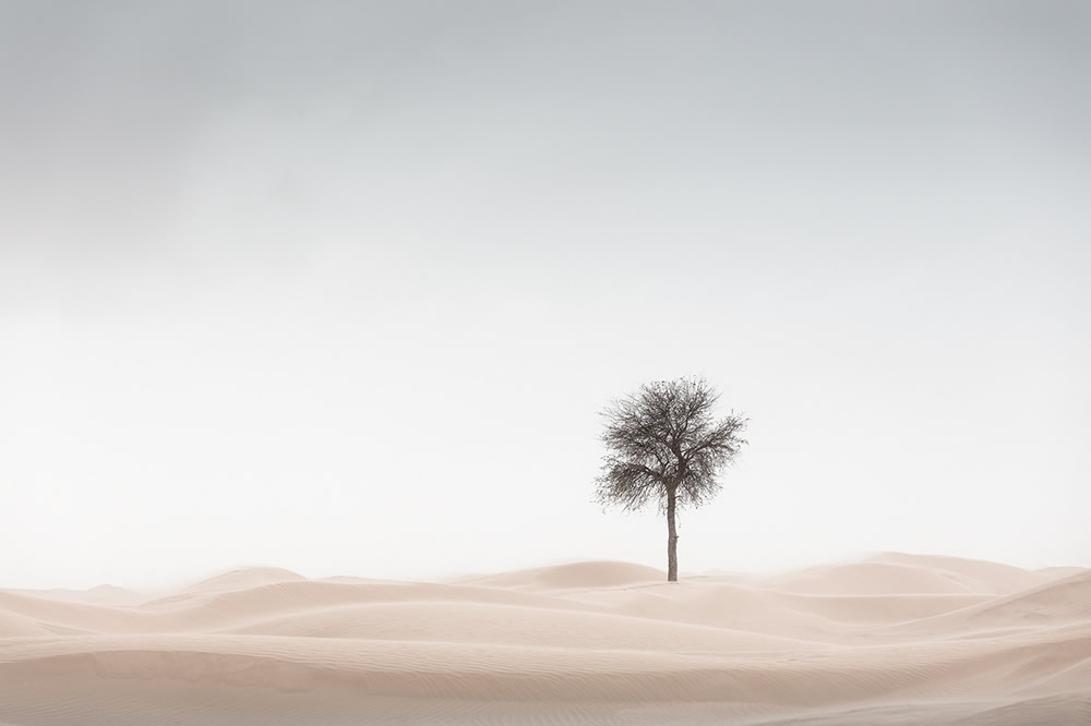 The Desert Portraits: Photographer Anthony Lamb Stunningly Captured The Arabian Desert