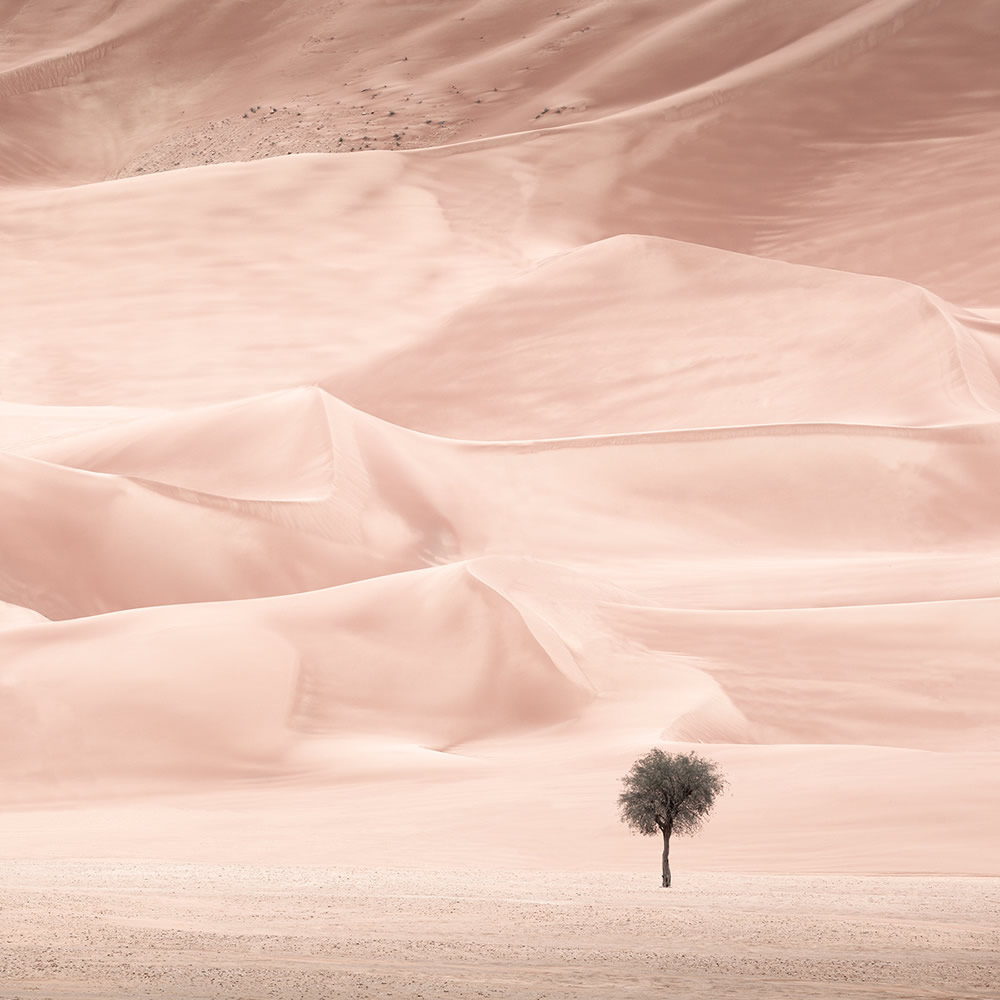 The Desert Portraits: Photographer Anthony Lamb Stunningly Captured The Arabian Desert