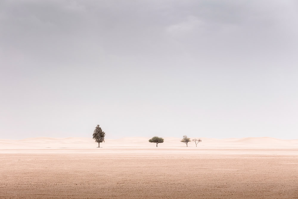 The Desert Portraits: Photographer Anthony Lamb Stunningly Captured The Arabian Desert