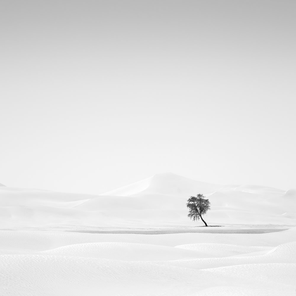 The Desert Portraits: Photographer Anthony Lamb Stunningly Captured The Arabian Desert