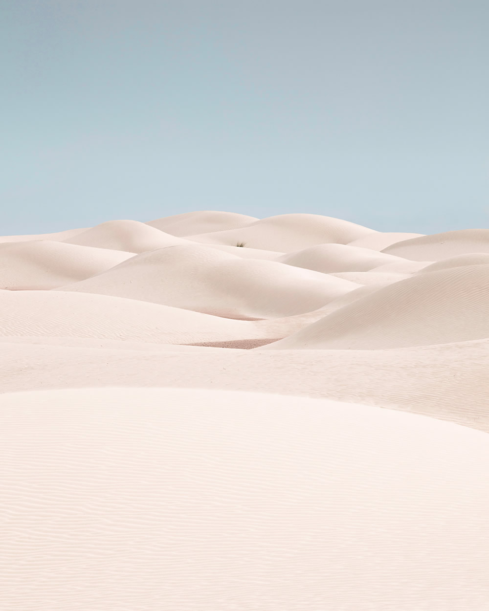 The Desert Portraits: Photographer Anthony Lamb Stunningly Captured The Arabian Desert