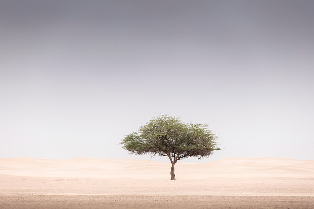 The Desert Portraits: Photographer Anthony Lamb Stunningly Captured The Arabian Desert