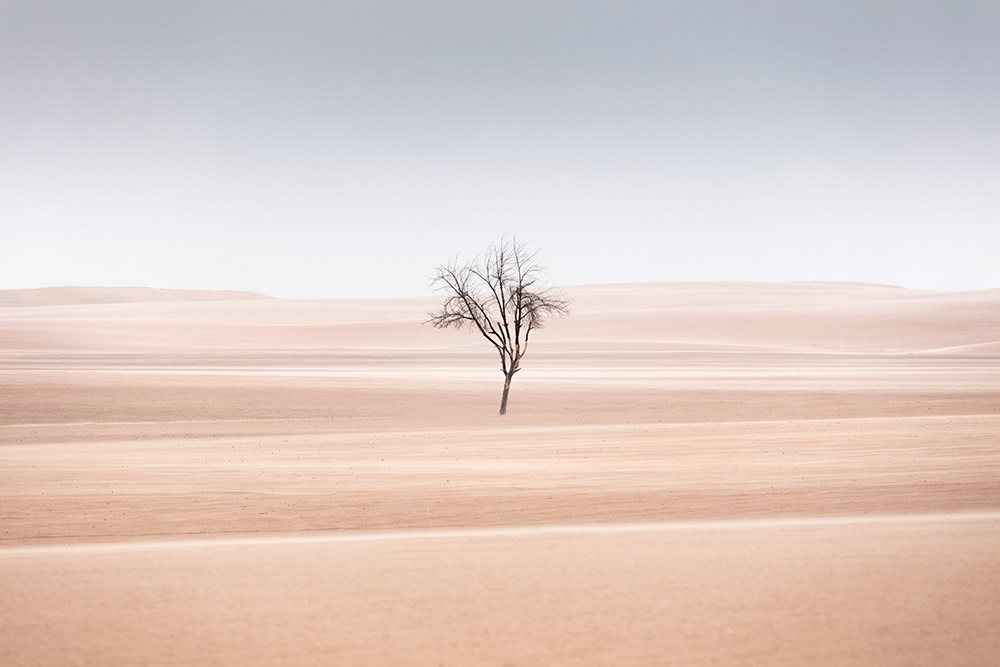 The Desert Portraits: Photographer Anthony Lamb Stunningly Captured The Arabian Desert