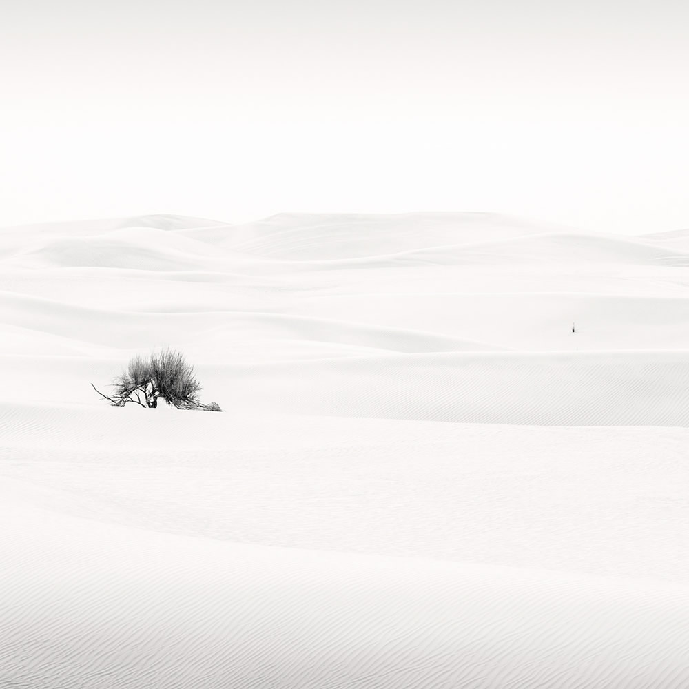 The Desert Portraits: Photographer Anthony Lamb Stunningly Captured The Arabian Desert