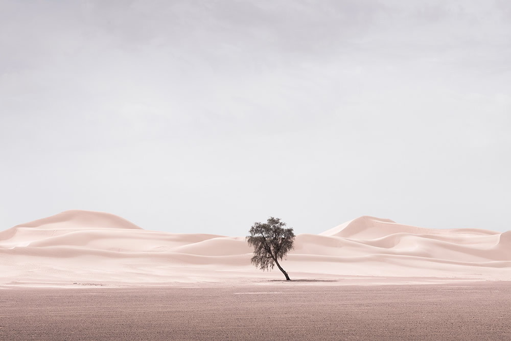 The Desert Portraits: Photographer Anthony Lamb Stunningly Captured The Arabian Desert