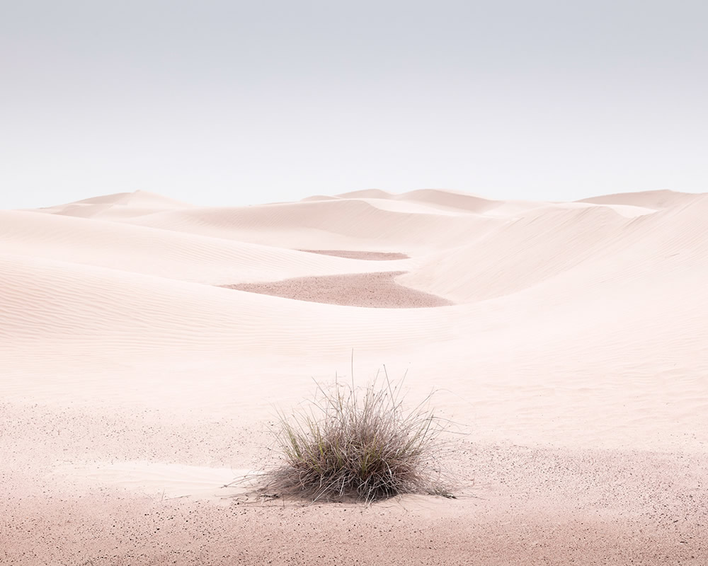 The Desert Portraits: Photographer Anthony Lamb Stunningly Captured The Arabian Desert