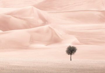 The Desert Portraits: Photographer Anthony Lamb Stunningly Captured The Arabian Desert