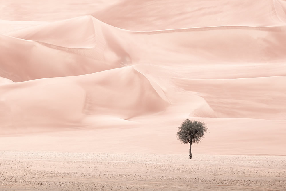 The Desert Portraits: Photographer Anthony Lamb Stunningly Captured The Arabian Desert