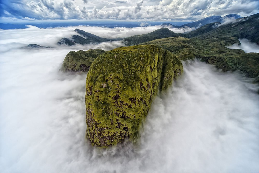 The Nature Conservancy Global Photo Contest Winners Of 2021