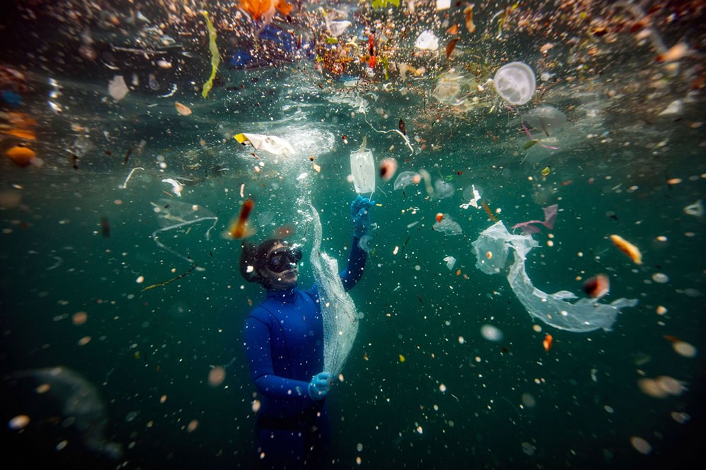 The Nature Conservancy Global Photo Contest Winners Of 2021