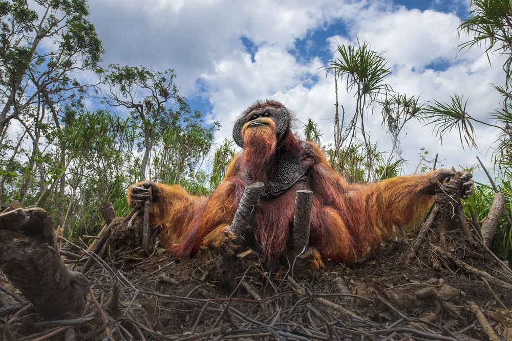 The Nature Conservancy Global Photo Contest Winners Of 2021