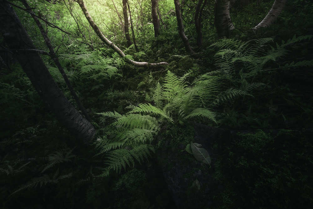 Vestlandet: Beautiful Landscape Photos Of The Western Coast Of Norway By Stian Klo