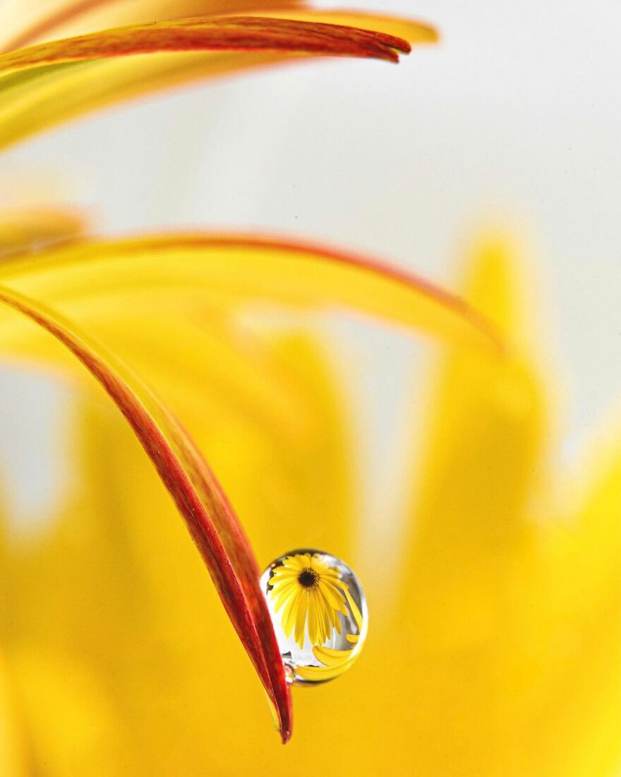 Water Droplet Techniques by Amthel Al-Dayni