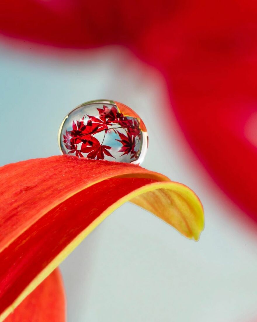 Water Droplet Techniques by Amthel Al-Dayni