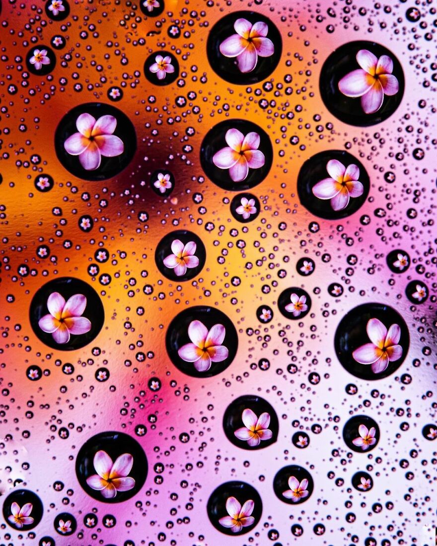 Water Droplet Techniques by Amthel Al-Dayni