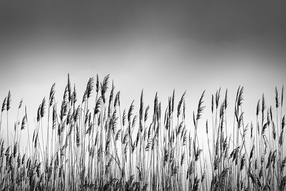 Whispers Of Silence: Peaceful Landscape Photographs By George Digalakis