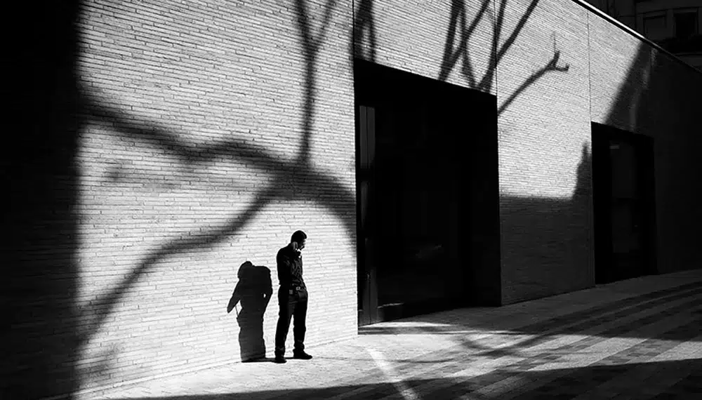 Man standing alone amid bold tree shadows on a sunlit brick wall