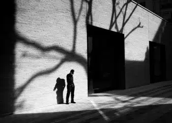 Man standing alone amid bold tree shadows on a sunlit brick wall