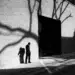 Man standing alone amid bold tree shadows on a sunlit brick wall