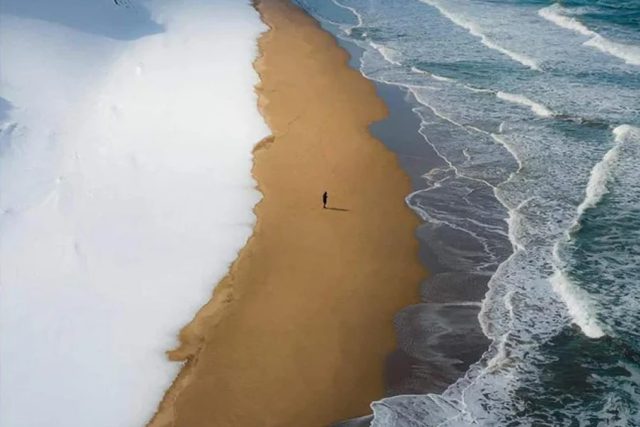 30 Times People Spotted “Accidental Surrealism” In Real Life