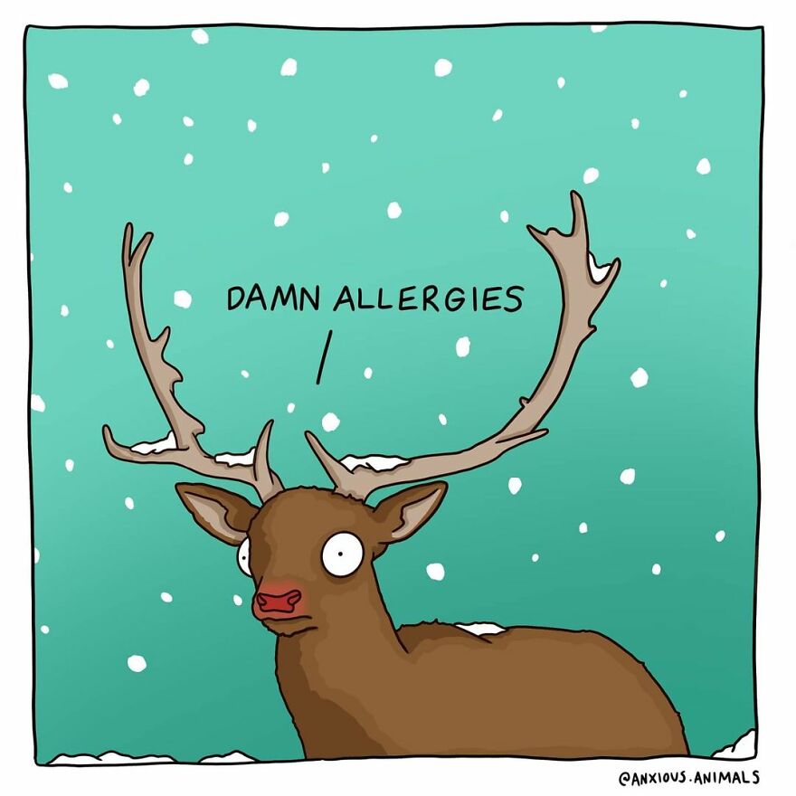 Artist Amee Wilson Created 30 Of Funny And Relatable “Anxious Animals” Comics