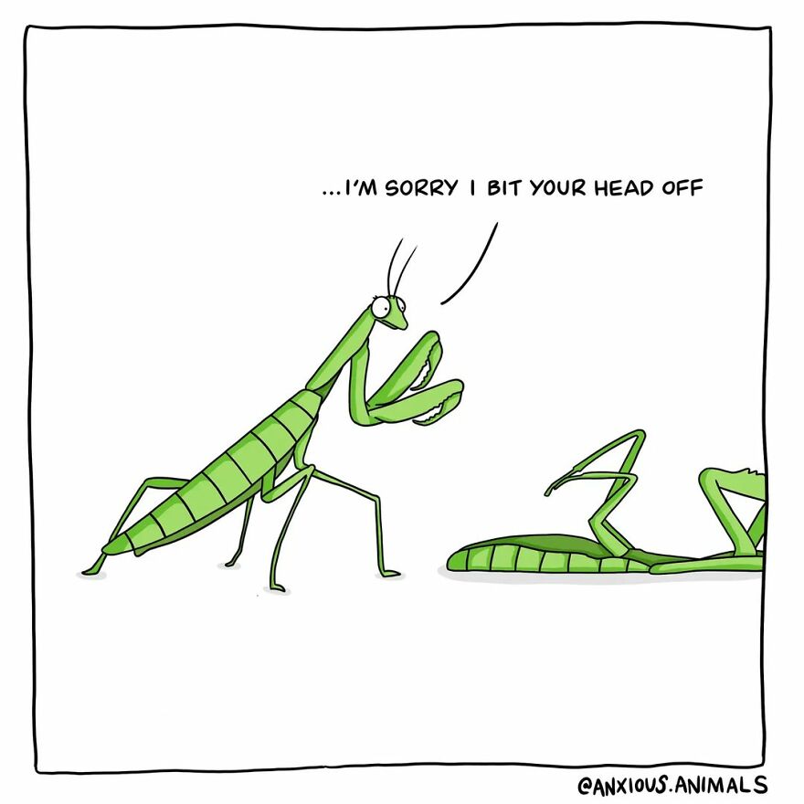 Artist Amee Wilson Created 30 Of Funny And Relatable “Anxious Animals” Comics