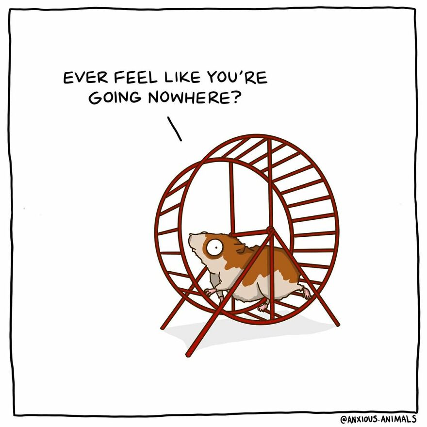 Artist Amee Wilson Created 30 Of Funny And Relatable “Anxious Animals” Comics