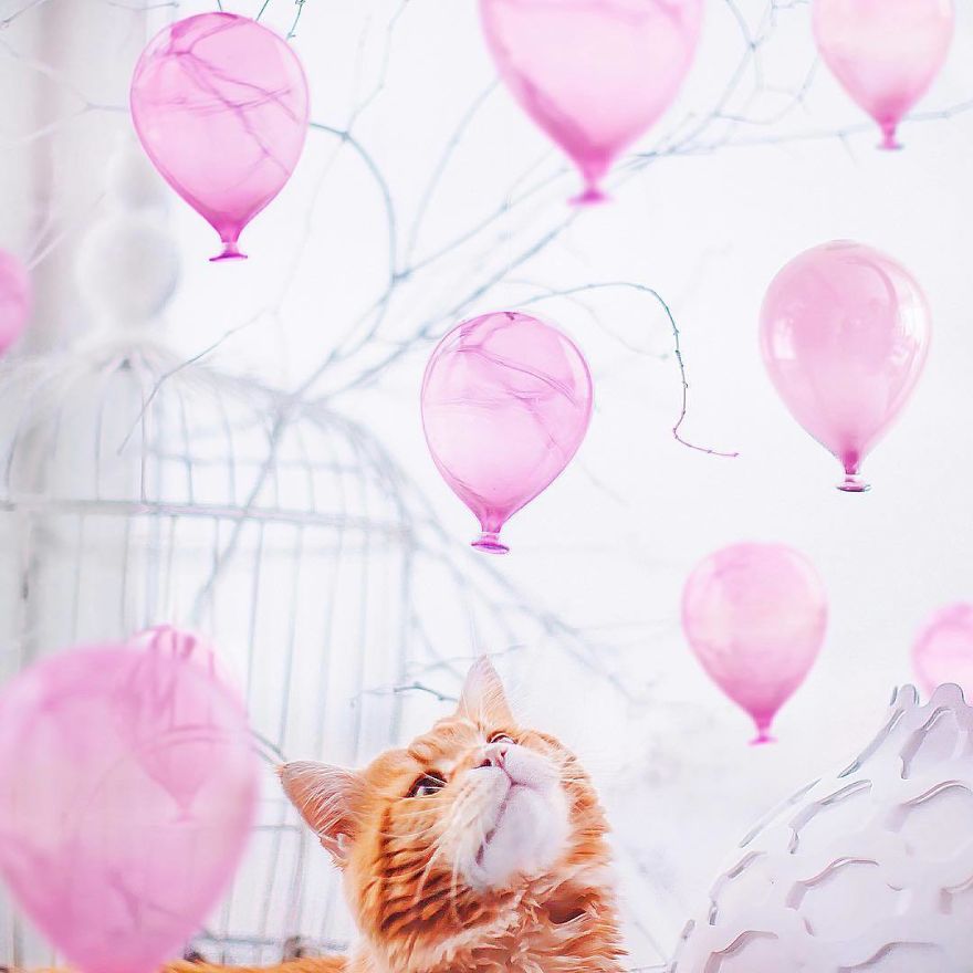 Magical Photos Inspired By Balloons, Bubbles, And Lights By Kristina Makeeva