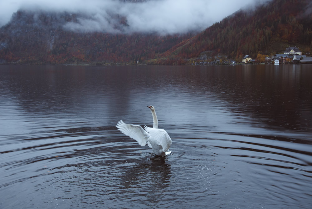 Magnificent Beauty Of Alps: Stunning Landscape Photographs by Nafi Sami