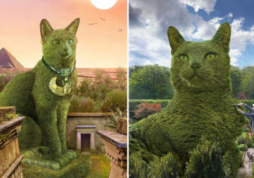 75-Year-Old Artist Richard Saunders Creates Edits Of Bushes In Honor Of His Deceased Cat