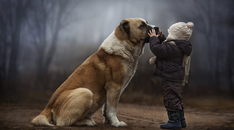 Elena Shumilova: Russian Mother Takes Amazing Portraits Of Her Two Kids With Animals