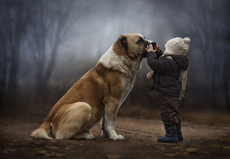 Elena Shumilova: Russian Mother Takes Amazing Portraits Of Her Two Kids With Animals