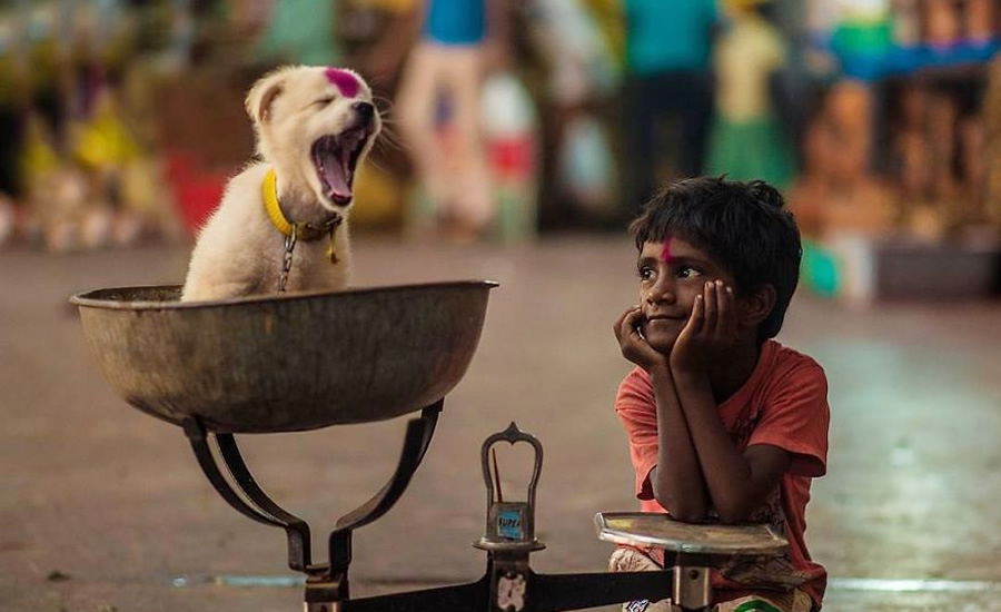 25 Beautiful Fairy Tale-Like Photos Of Kids And Animals