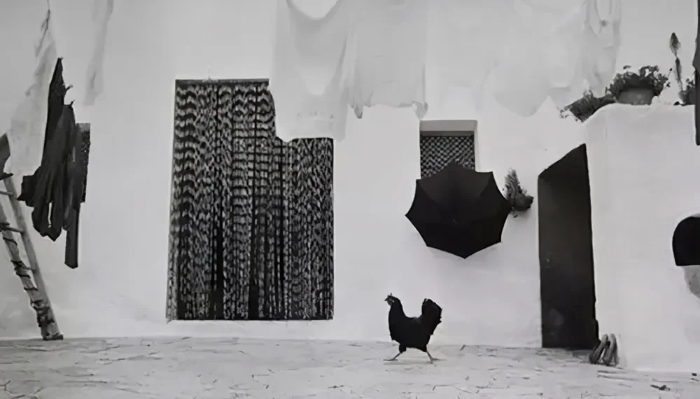 50 Great Black And White Photographs From The Masters Of Photography- Part 1 51 great black and white photography