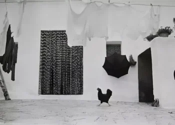 great black and white photography