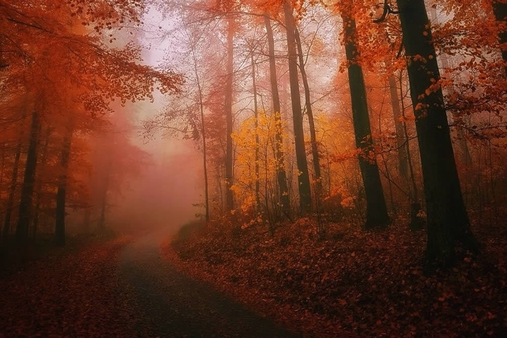 GuruShots Winning Images From The 'Autumn Is Here' Challenge